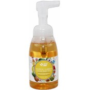 Wholesale - 10oz Sound Body TROPICAL SUMMER FOAMING HAND SOAP, UPC: 651669290150